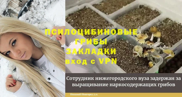 крисы Баксан