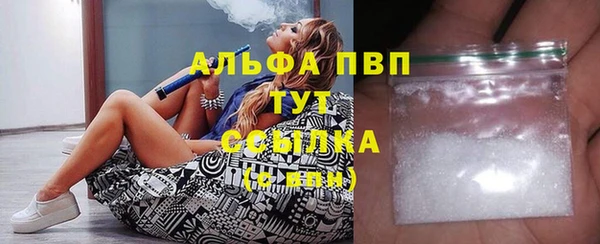 дживик Сясьстрой