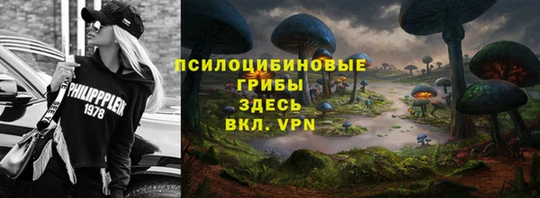 крисы Баксан