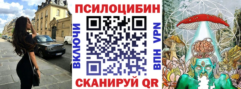 Псилоцибиновые грибы Cubensis  Курчатов 